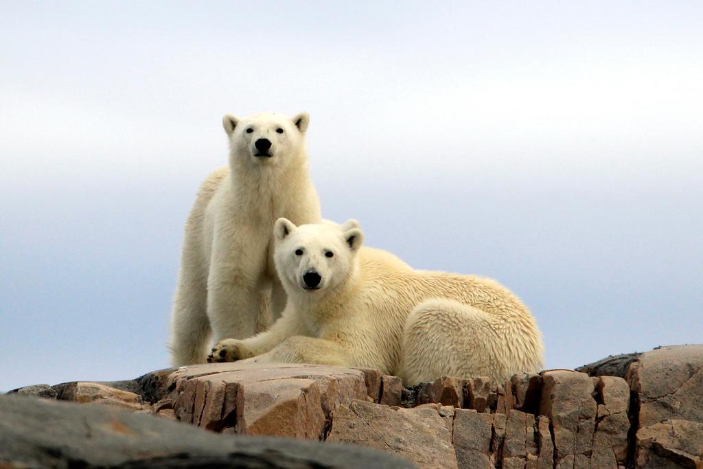 Funken Lodge Longyearbyen Buitenkant foto
