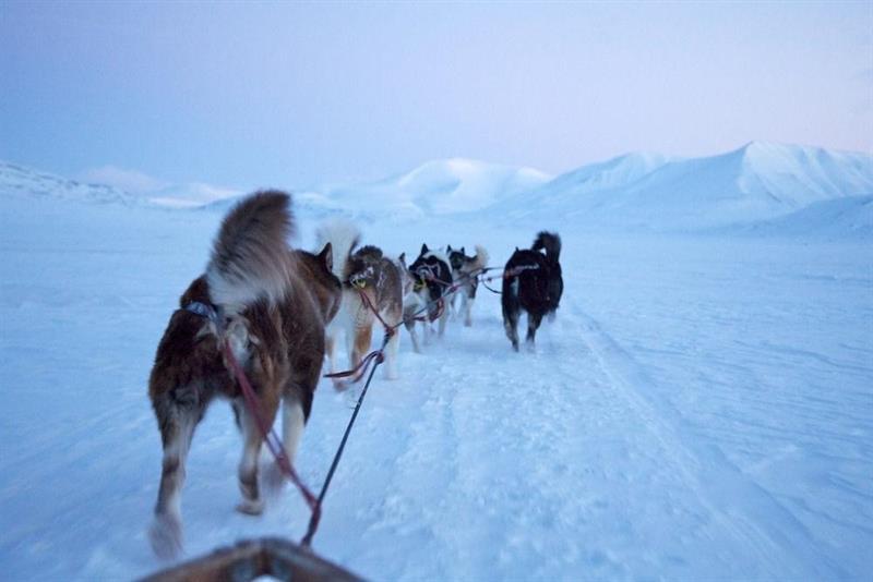 Funken Lodge Longyearbyen Buitenkant foto